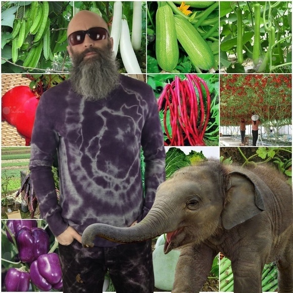 Good Treasures Custom Banana Republic V Neck Extra Fine Merino Wool Sweater  L - Picture 7 of 9